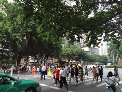 客流监控统计分析系统
