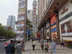城市街道人流量智能统计