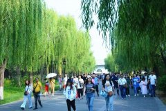 河南景区人流量统计