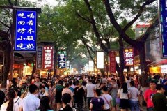 大型活动人流量统计汇总表