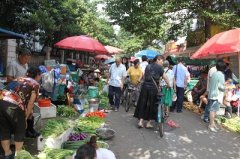 市场客流量分析软件