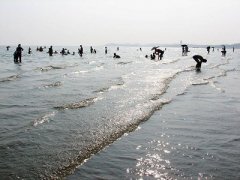 防城港白浪滩客流量分析