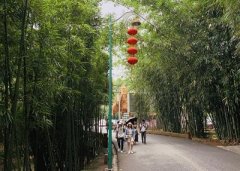 客流量分析报表格式