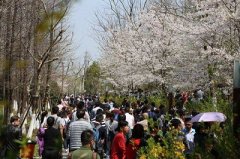 客流量分析视频