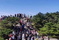 查周边人流量软件