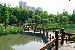 公园人流量分析说明