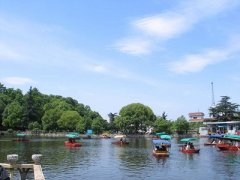 公园人流量分析报告