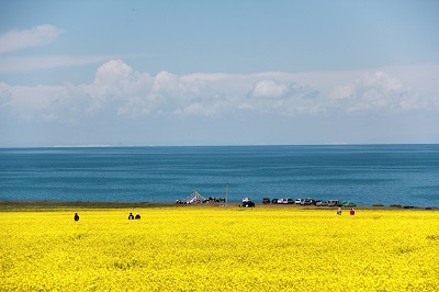 青海景区人流量统计