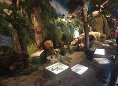 三峡博物馆人流量分析